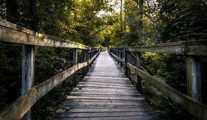 Preview wallpaper bridge, boards, tree, trees