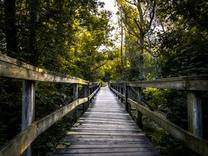 Preview wallpaper bridge, boards, tree, trees