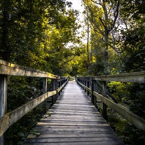 Preview wallpaper bridge, boards, tree, trees