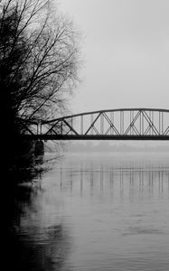 Preview wallpaper bridge, branches, bw, water