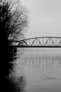 Preview wallpaper bridge, branches, bw, water