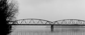 Preview wallpaper bridge, branches, bw, water