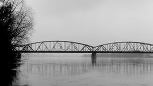 Preview wallpaper bridge, branches, bw, water