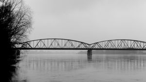 Preview wallpaper bridge, branches, bw, water