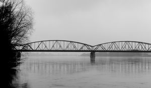 Preview wallpaper bridge, branches, bw, water