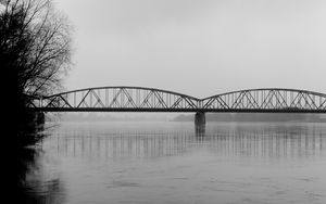 Preview wallpaper bridge, branches, bw, water