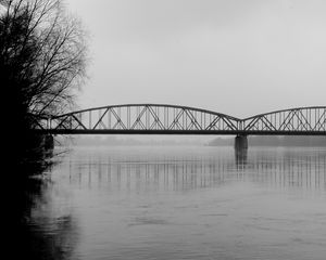 Preview wallpaper bridge, branches, bw, water