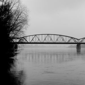Preview wallpaper bridge, branches, bw, water