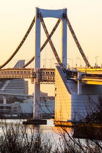 Preview wallpaper bridge, buildings, houses, river, branches