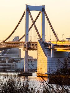 Preview wallpaper bridge, buildings, houses, river, branches