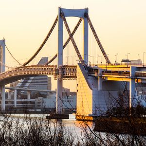 Preview wallpaper bridge, buildings, houses, river, branches