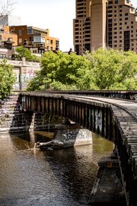 Preview wallpaper bridge, buildings, trees, river