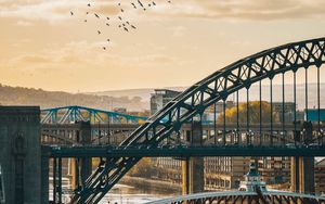 Preview wallpaper bridge, city, architecture, birds, clouds