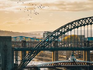 Preview wallpaper bridge, city, architecture, birds, clouds
