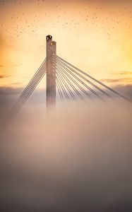 Preview wallpaper bridge, clouds, birds, sunset, dusk