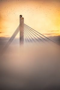 Preview wallpaper bridge, clouds, birds, sunset, dusk