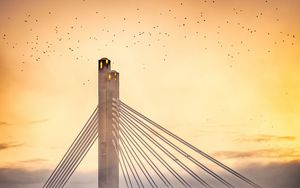 Preview wallpaper bridge, clouds, birds, sunset, dusk