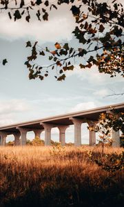 Preview wallpaper bridge, construction, architecture, grass, tree