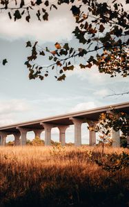 Preview wallpaper bridge, construction, architecture, grass, tree