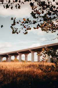 Preview wallpaper bridge, construction, architecture, grass, tree