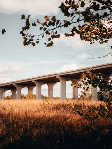 Preview wallpaper bridge, construction, architecture, grass, tree