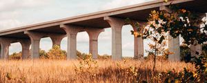 Preview wallpaper bridge, construction, architecture, grass, tree