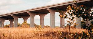 Preview wallpaper bridge, construction, architecture, grass, tree