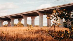 Preview wallpaper bridge, construction, architecture, grass, tree