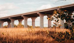Preview wallpaper bridge, construction, architecture, grass, tree