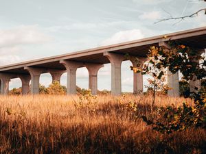 Preview wallpaper bridge, construction, architecture, grass, tree