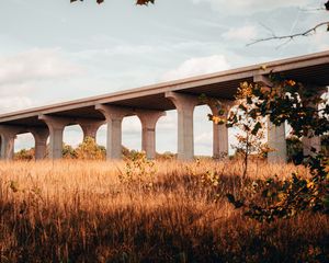 Preview wallpaper bridge, construction, architecture, grass, tree