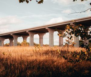 Preview wallpaper bridge, construction, architecture, grass, tree