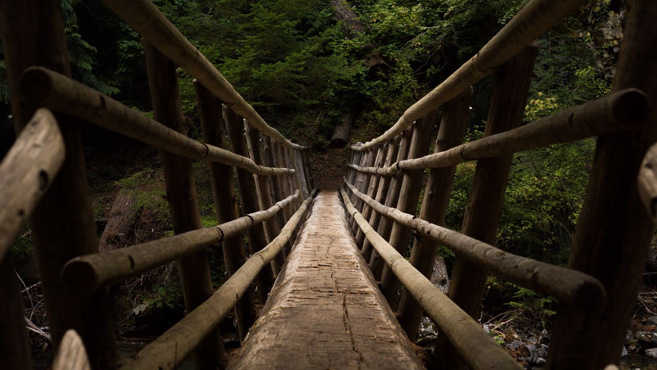 Wallpaper bridge, descent, trees