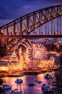 Preview wallpaper bridge, ferris wheel, buildings, lights, city, holiday