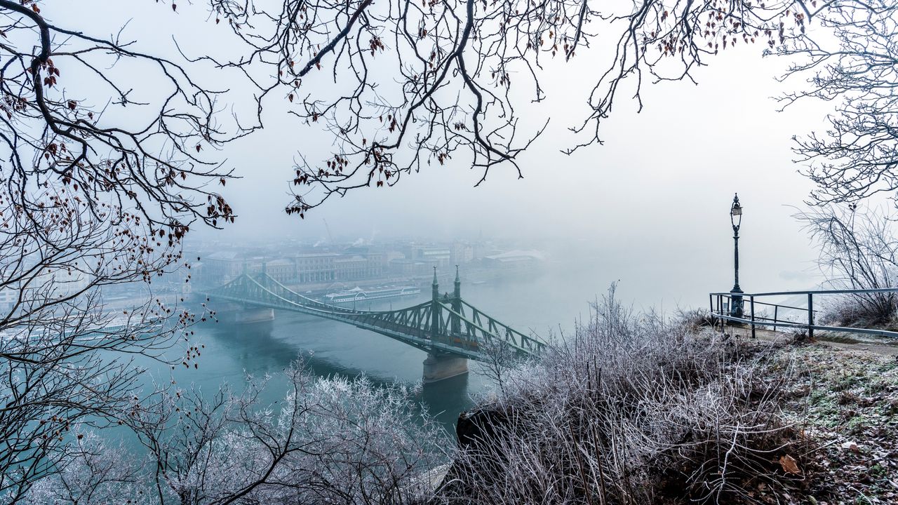 Wallpaper bridge, fog, aerial view, branches, frost, snow, winter, budapest, hungary