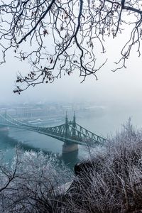 Preview wallpaper bridge, fog, aerial view, branches, frost, snow, winter, budapest, hungary