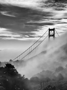 Preview wallpaper bridge, fog, bushes, clouds, nature, black and white