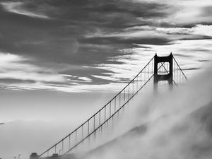 Preview wallpaper bridge, fog, bushes, clouds, nature, black and white