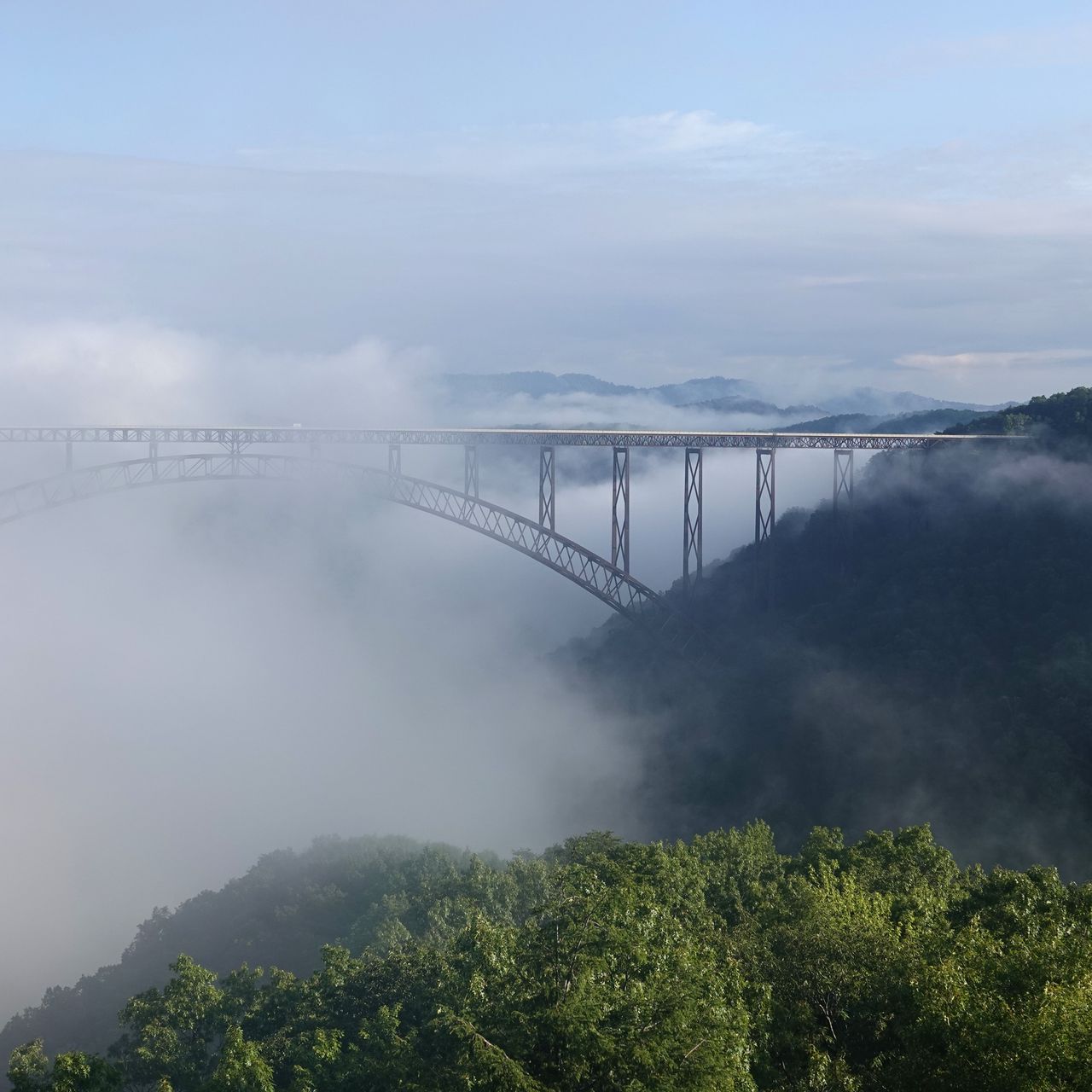 1280x1280 Wallpaper bridge, fog, trees, forest