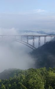 Preview wallpaper bridge, fog, trees, forest