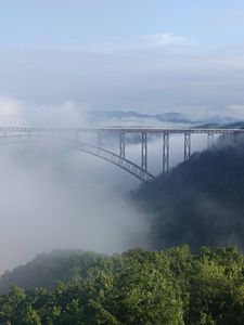 Preview wallpaper bridge, fog, trees, forest