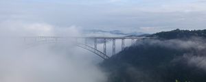 Preview wallpaper bridge, fog, trees, forest