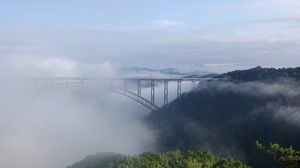 Preview wallpaper bridge, fog, trees, forest