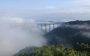 Preview wallpaper bridge, fog, trees, forest