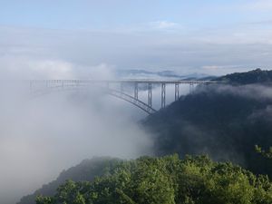 Preview wallpaper bridge, fog, trees, forest