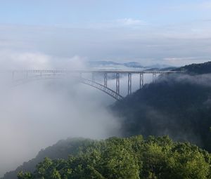 Preview wallpaper bridge, fog, trees, forest