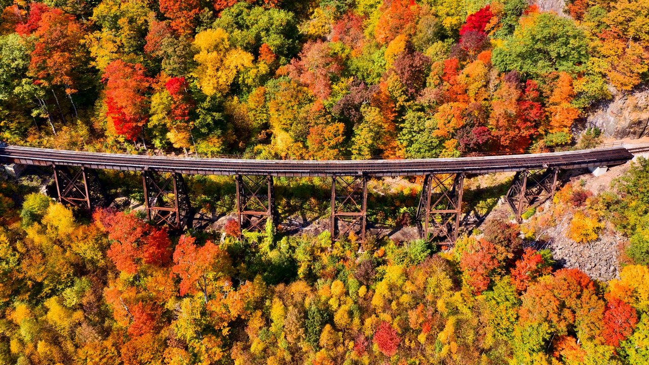 Wallpaper bridge, forest, autumn, aerial view