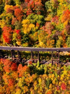 Preview wallpaper bridge, forest, autumn, aerial view