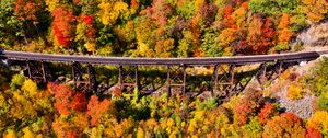 Preview wallpaper bridge, forest, autumn, aerial view