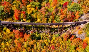 Preview wallpaper bridge, forest, autumn, aerial view